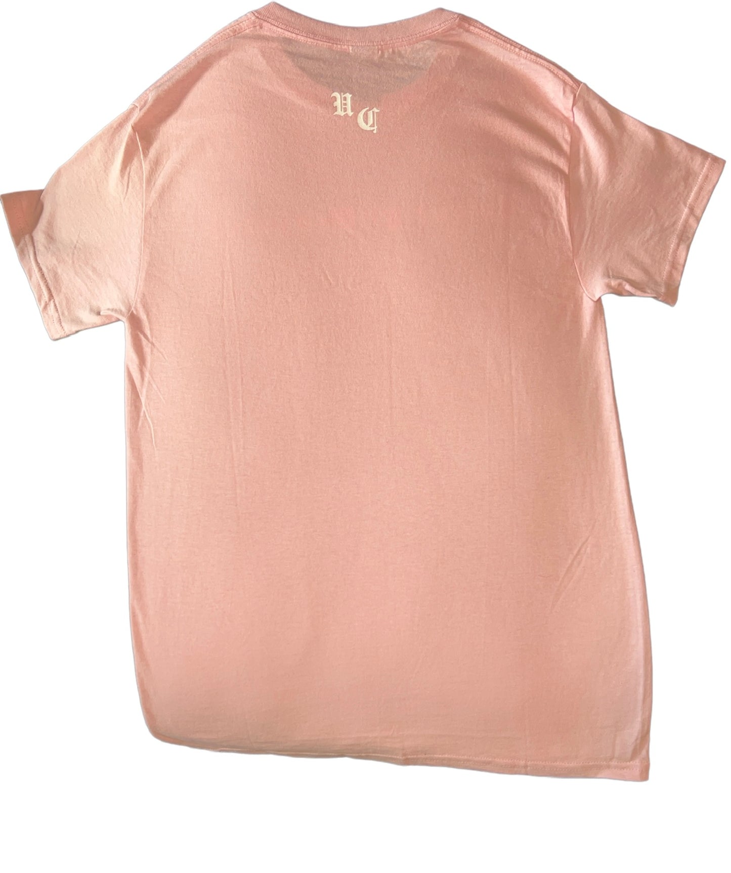 Uniquely censored logo tee